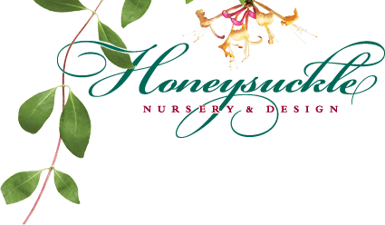 Honeysuckle NURSERY & DESIGN